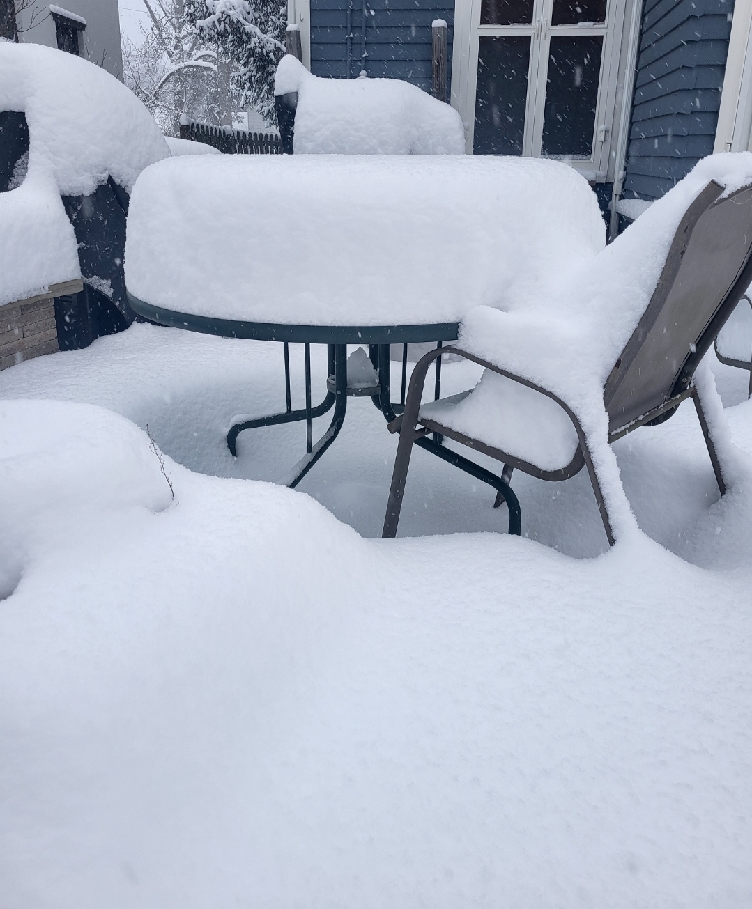 Screenshot_20240120_231414