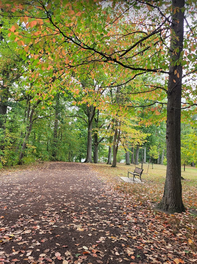 Screenshot 2024-09-27 142742