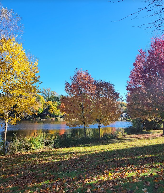 Screenshot 2024-10-30 153705