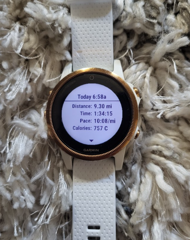 Screenshot 2024-11-07 101102