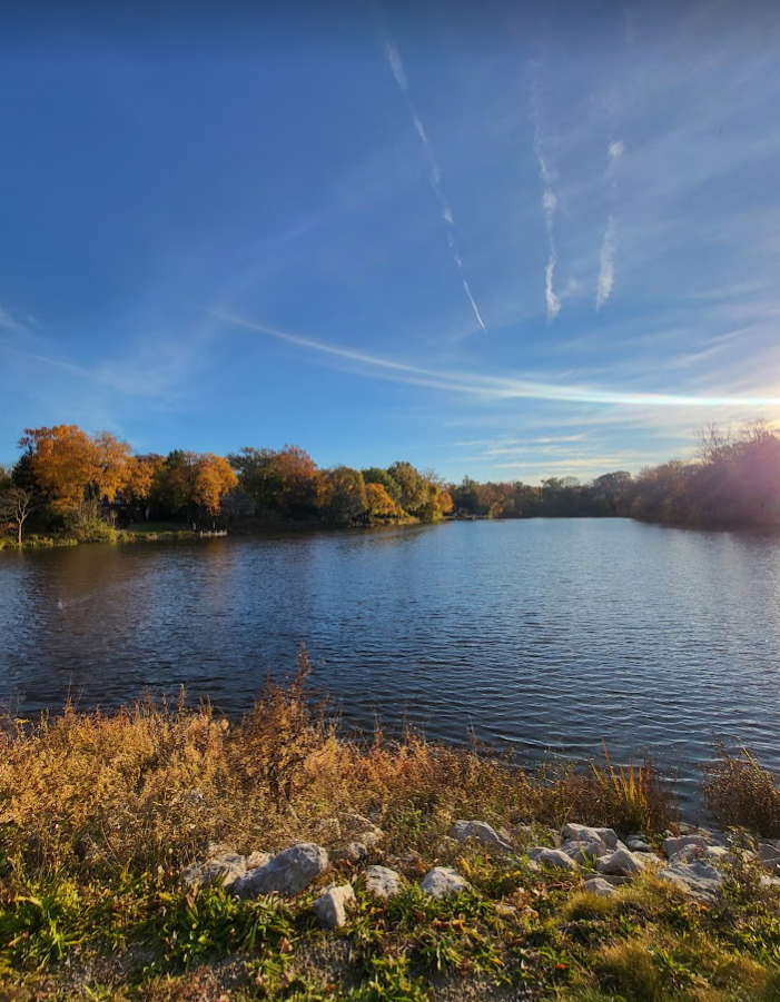 Screenshot 2024-11-07 101714