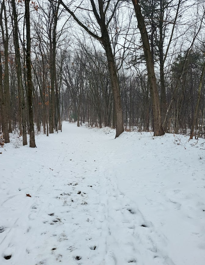 Screenshot 2024-12-28 215618