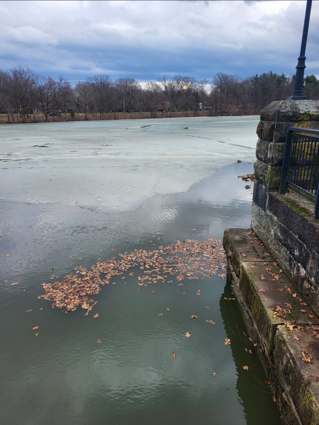 False Spring is my&nbsp;Fave