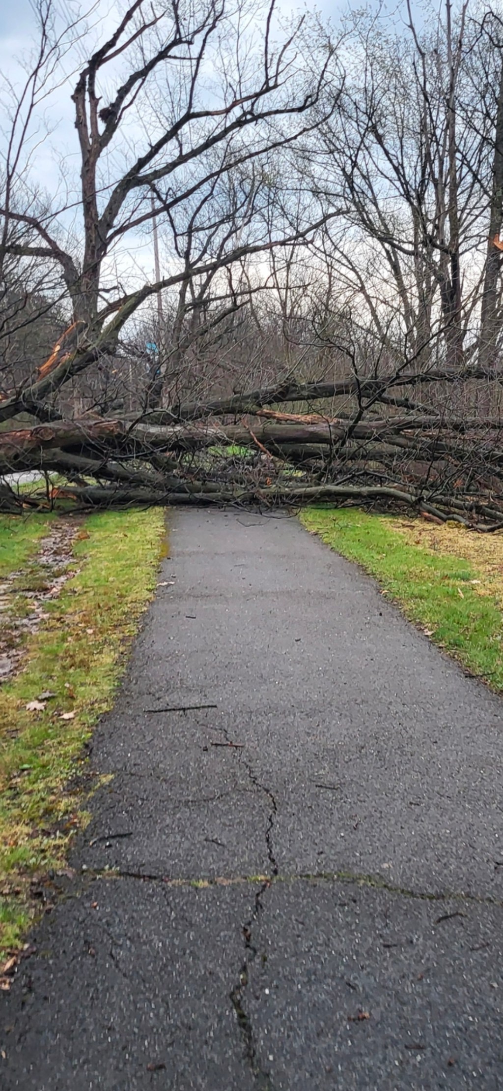 April came in with strong&nbsp;showers