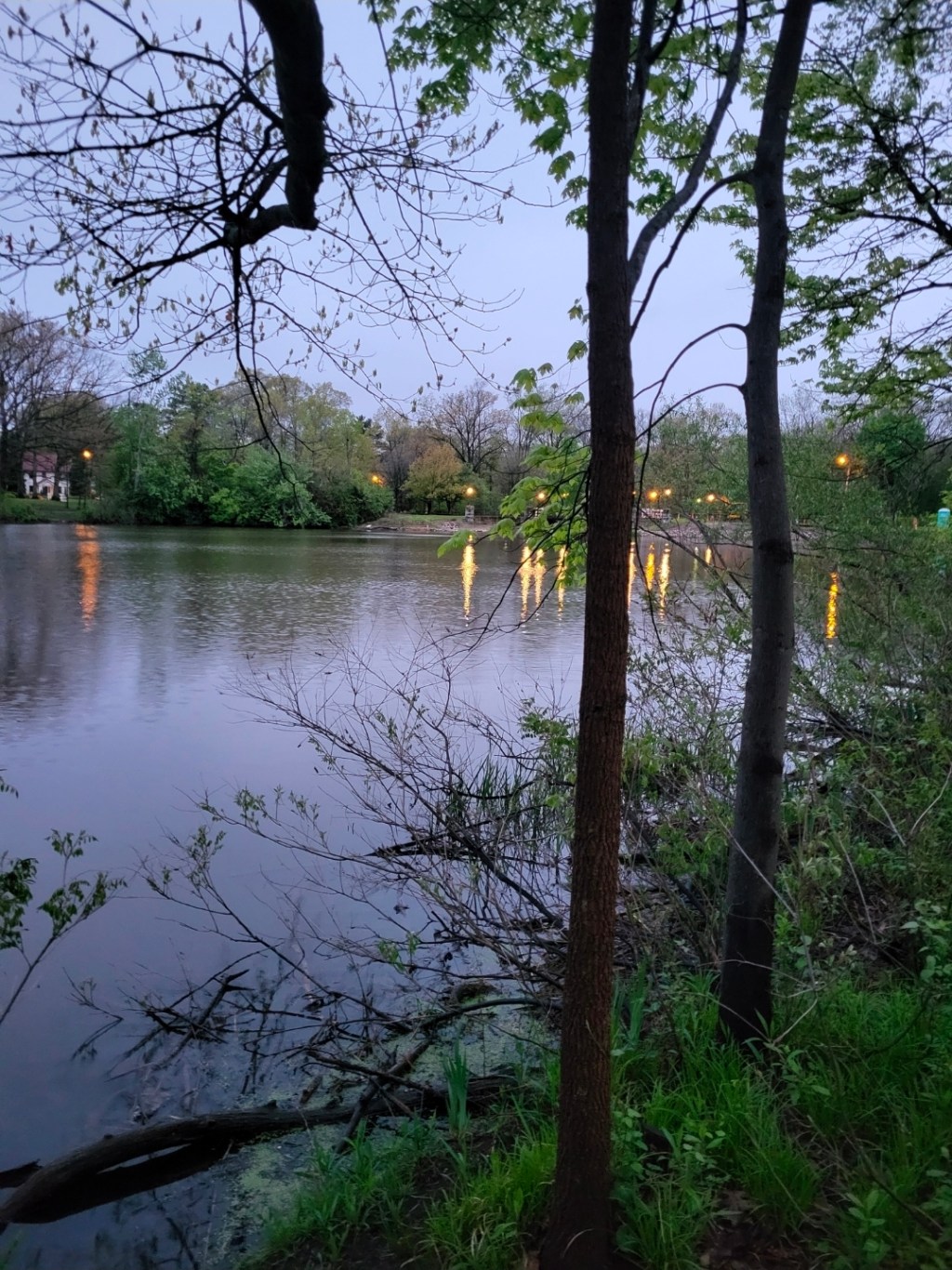 Welcome to May