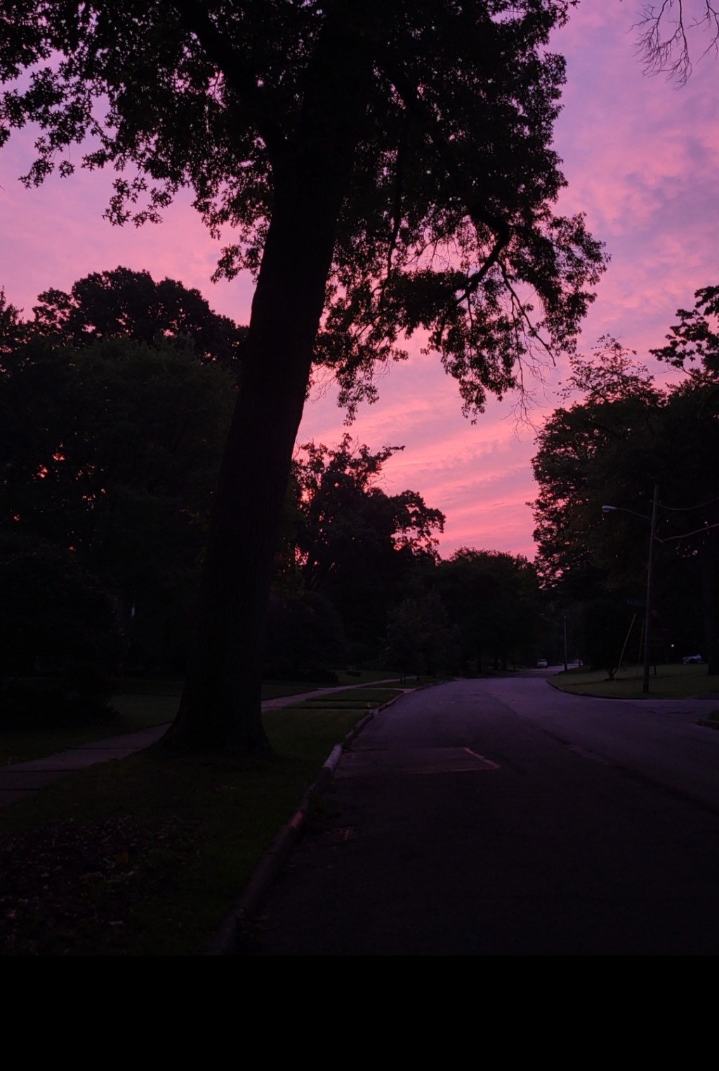 Sunrise Runs
